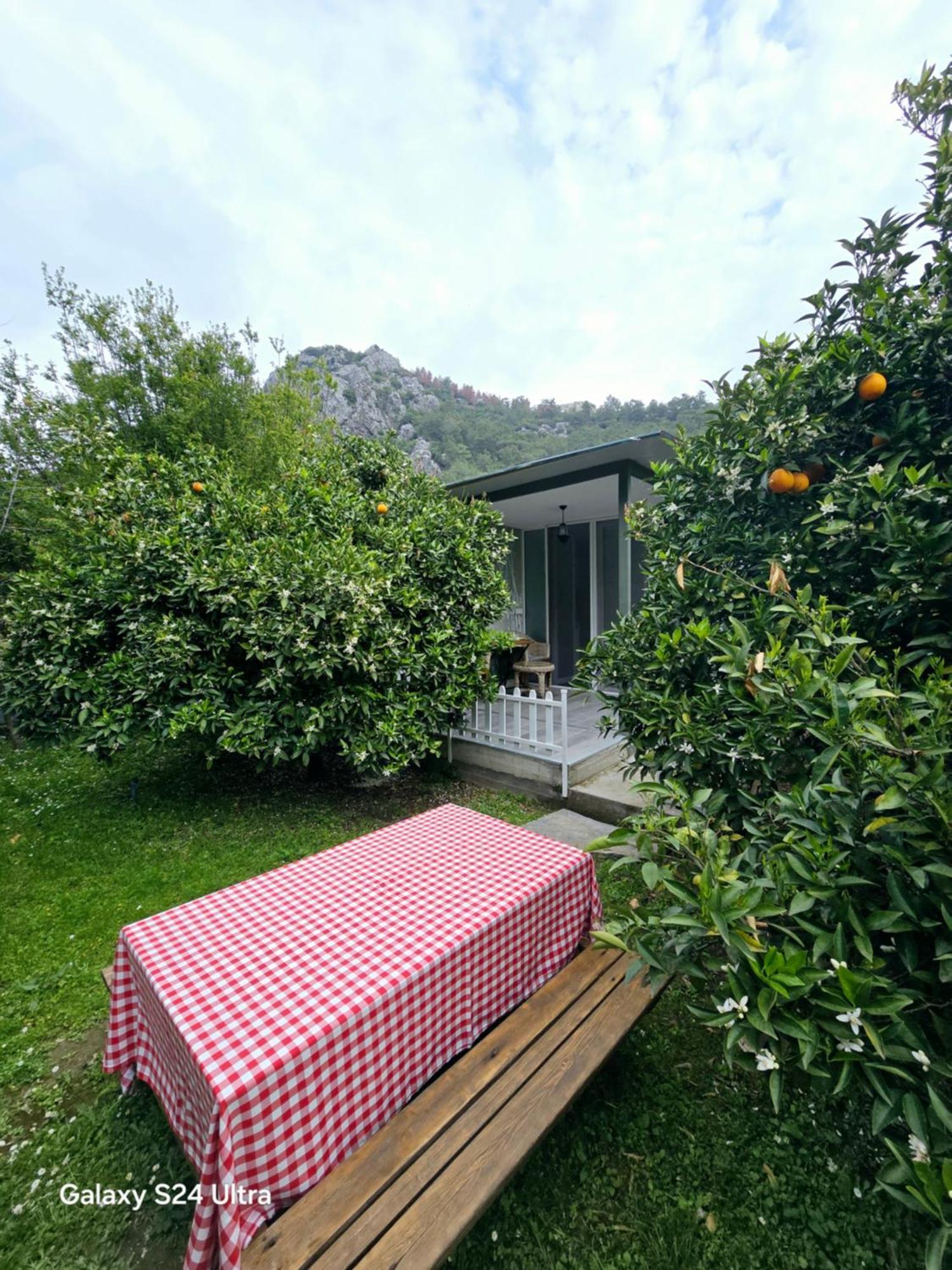 Portalimo Lodge Hotel - Adult Only +12 Cirali Exterior photo