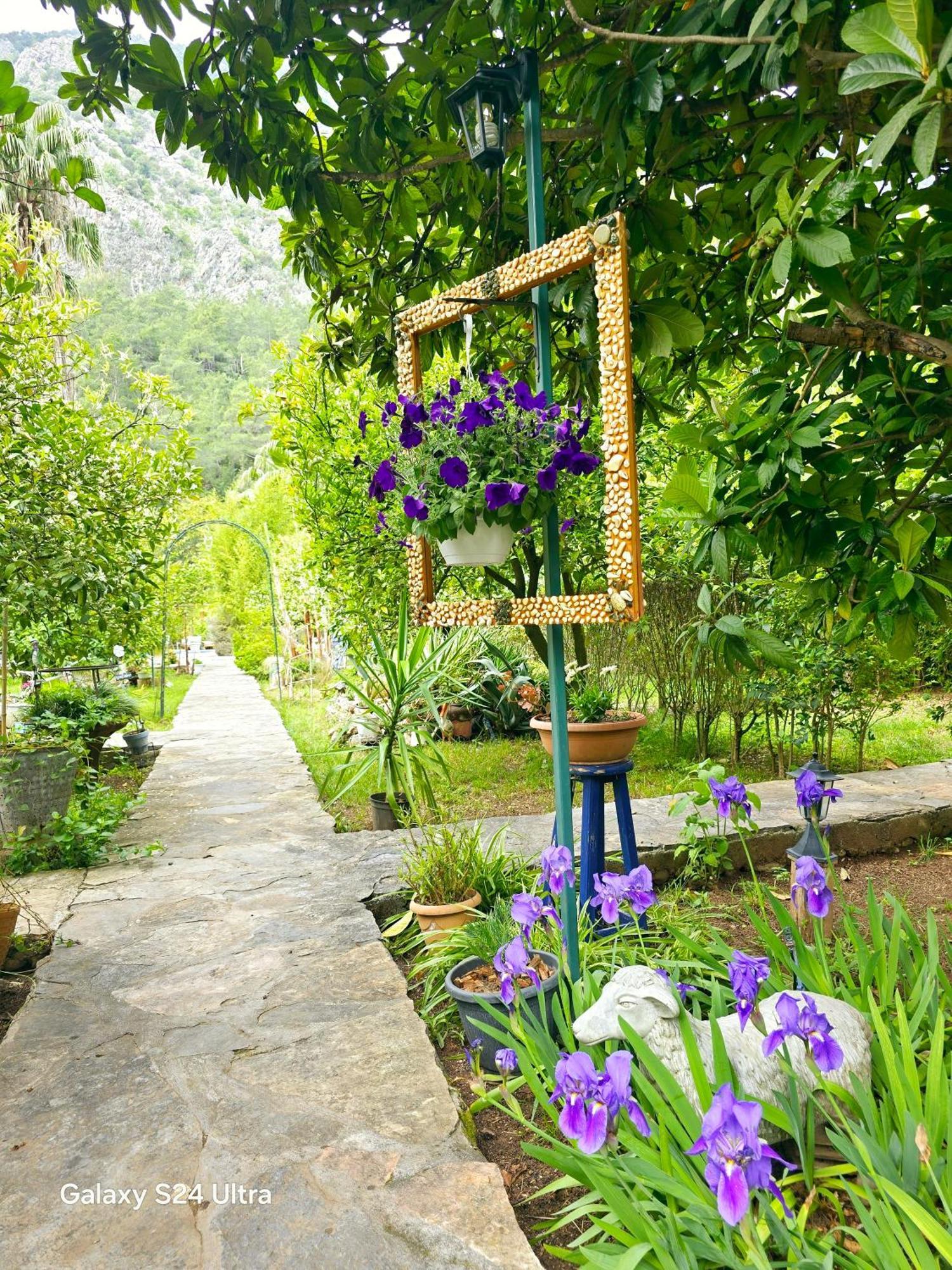 Portalimo Lodge Hotel - Adult Only +12 Cirali Exterior photo